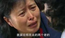 门弟全集在线观看,揭秘家族荣耀与命运纠葛的史诗巨作