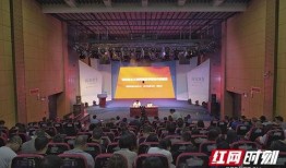 红网最新爆料新闻,揭秘最新爆料背后的惊人真相