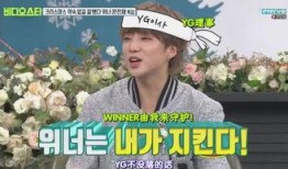 社长最新爆料视频大全,揭秘幕后真相，精彩瞬间大盘点