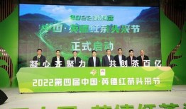 英德八中爆料新闻视频