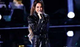 李玟娱乐圈爆料事件是什么,揭秘背后真相与影响