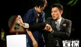 盲探在线观看,探案悬疑，揭秘真相的视觉盛宴