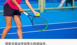 女网球明星爆料视频,揭秘网球界不为人知的秘密