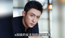 娱乐明星 八卦爆料小说,揭秘明星背后的八卦秘闻