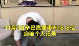 网友爆料燕窝视频播放,揭秘制作过程引发热议