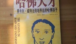 西安足浴店爆料视频大全,揭秘行业内幕与真实故事
