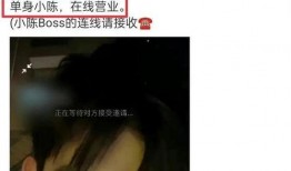 陈哥武汉爆料视频播放全集,揭秘事件全貌