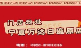金凤万达爆料视频大全下载,揭秘幕后真相与精彩瞬间