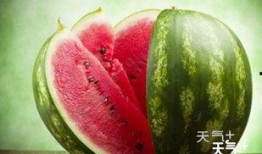 网红吃瓜群视频大全下载,揭秘网络红人幕后生活瞬间