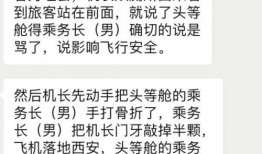 西安飞翔最新爆料消息新闻,揭秘项目进展与未来规划
