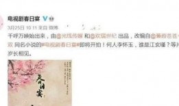春日宴最新爆料,揭秘幕后故事，明星阵容大揭秘！