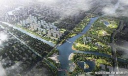 青城最新爆料,最新爆料背后的惊人真相