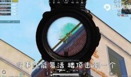 炮芯爆料甜芯的视频,揭秘甜蜜背后的故事