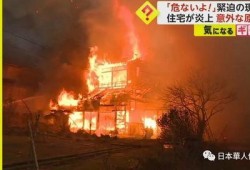 日本地震最新新闻爆料,多地受灾，救援行动全面展开