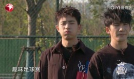 大种歌电视剧在线观看,重温经典，共赏民族风华