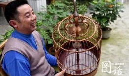 花鸟笼电影在线观看,穿越时空的美丽邂逅