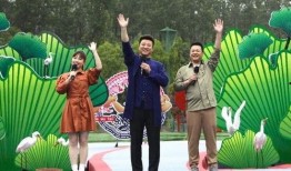 向阳哥哥爆料视频大全最新,揭秘娱乐圈幕后真相