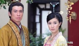 宫心计国语版在线观看,宫廷权谋与爱恨情仇交织