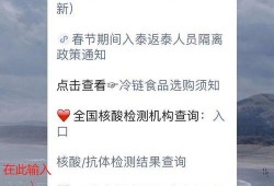 泰安核酸爆料事件真相视频,真相视频曝光背后的真相