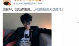 舅爷原神爆料视频下载,新角色、新剧情及游戏更新前瞻