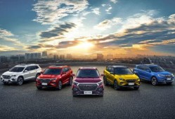 常德捷途车主爆料事件最新,揭露汽车质量问题与售后服务困境