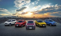 常德捷途车主爆料事件最新,揭露汽车质量问题与售后服务困境