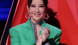 李玟娱乐圈爆料事件是什么,揭秘背后真相与影响
