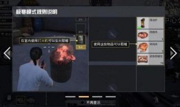 和平精英爆料旭升老婆的视频,揭秘游戏幕后故事