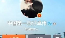 狗仔爆料实锤视频大全集,揭秘娱乐圈幕后真相