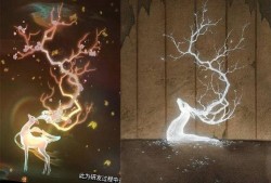 遇见神鹿爆料视频,揭秘神秘视频背后的神秘力量