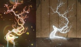 遇见神鹿爆料视频,揭秘神秘视频背后的神秘力量