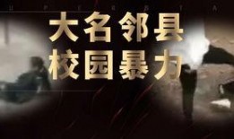 爆料河北学校事件视频最新,真相背后引发社会关注