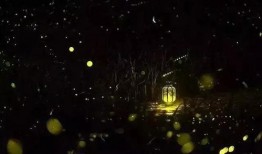 流萤最新爆料新闻,最新爆料事件深度解析