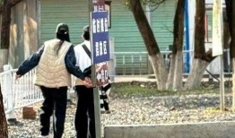 狗仔爆料刘雯视频,狗仔爆料引发热议