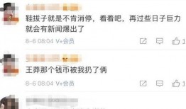 杨子炫富爆料视频大全,一场奢华生活的视觉盛宴