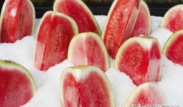 吃瓜娱乐菌,吃瓜娱乐菌带你探秘明星生活
