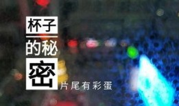 德州饭店爆料视频大全集,揭秘幕后真相与惊人内幕