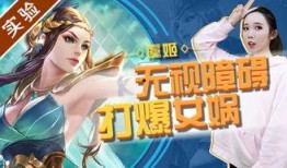 王者爆料打架视频,神秘打架视频揭秘游戏新玩法与角色冲突