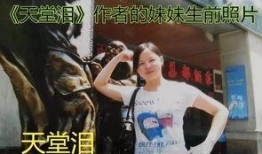 天国泪在线观看,在线观看，揭秘感人至深的生死离别故事