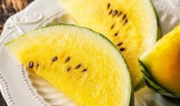 官方免费吃瓜入口