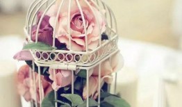 花鸟笼电影在线观看,穿越时空的美丽邂逅