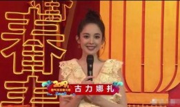明星爆料秦岚视频大全集,揭秘明星幕后生活点滴