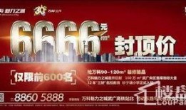 万科城爆料最新消息,揭秘神秘项目进展与未来规划
