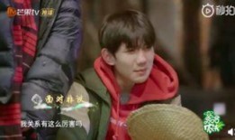 王源最新的 爆料是什么,揭秘明星背后的真实故事