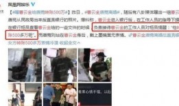 大牌子假黄金爆料视频大全,视频爆料大全深度解析