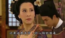 宫心计国语版在线观看,宫廷权谋与爱恨情仇交织