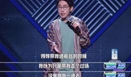 辛酸史爆料视频,视频揭秘不为人知的背后真相