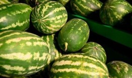 南和网红吃瓜事件,揭秘网络舆论的风云变幻