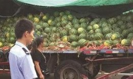 南和网红吃瓜事件,揭秘网络舆论的风云变幻