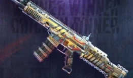 pubgm最新联动爆料,神秘IP强势来袭，游戏体验再升级！